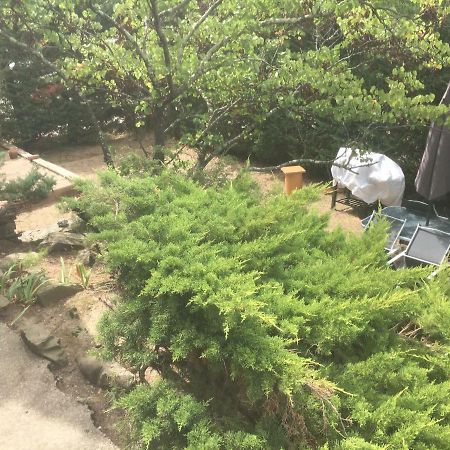 Appartement Calme De 48M2 Amélie-les-Bains-Palalda Eksteriør bilde